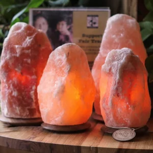 Himalayan Classic Salt Lamp