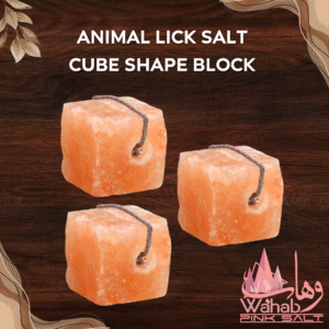 Animal Lick Salt - Cube Shape Block