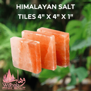 Himalayan Salt Tile 4" x 4" x 1"