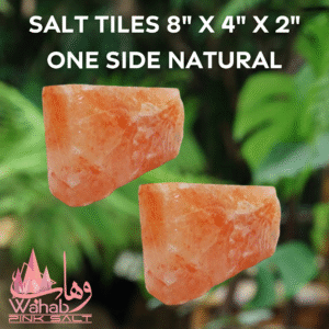 Himalayan Salt Tile 8" x 4" x 2" - One Side Natural