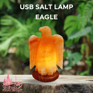 USB Salt Lamp - Eagle