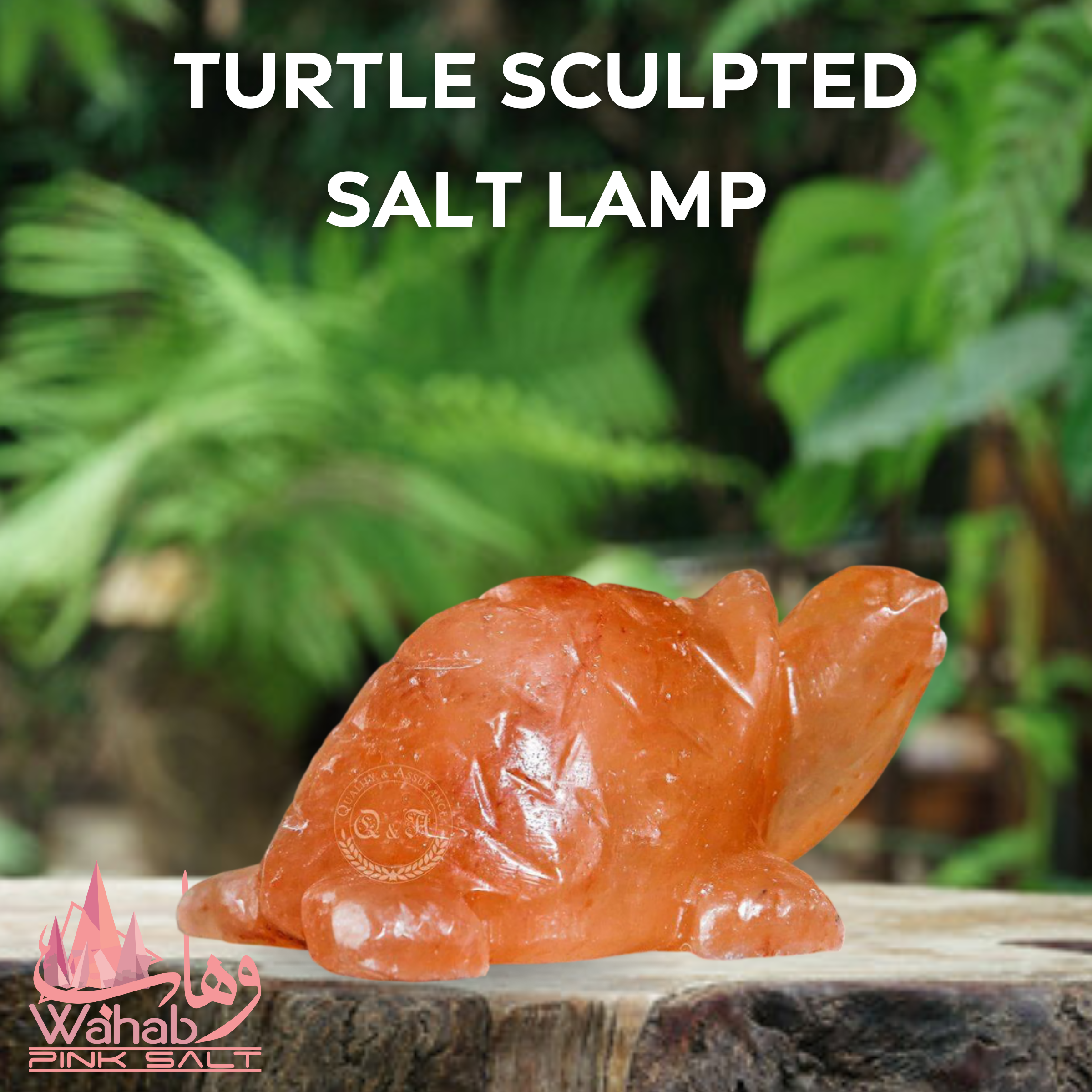 Sculpted Salt Lamp - Turtle