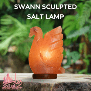 Sculpted Salt Lamp - Swann