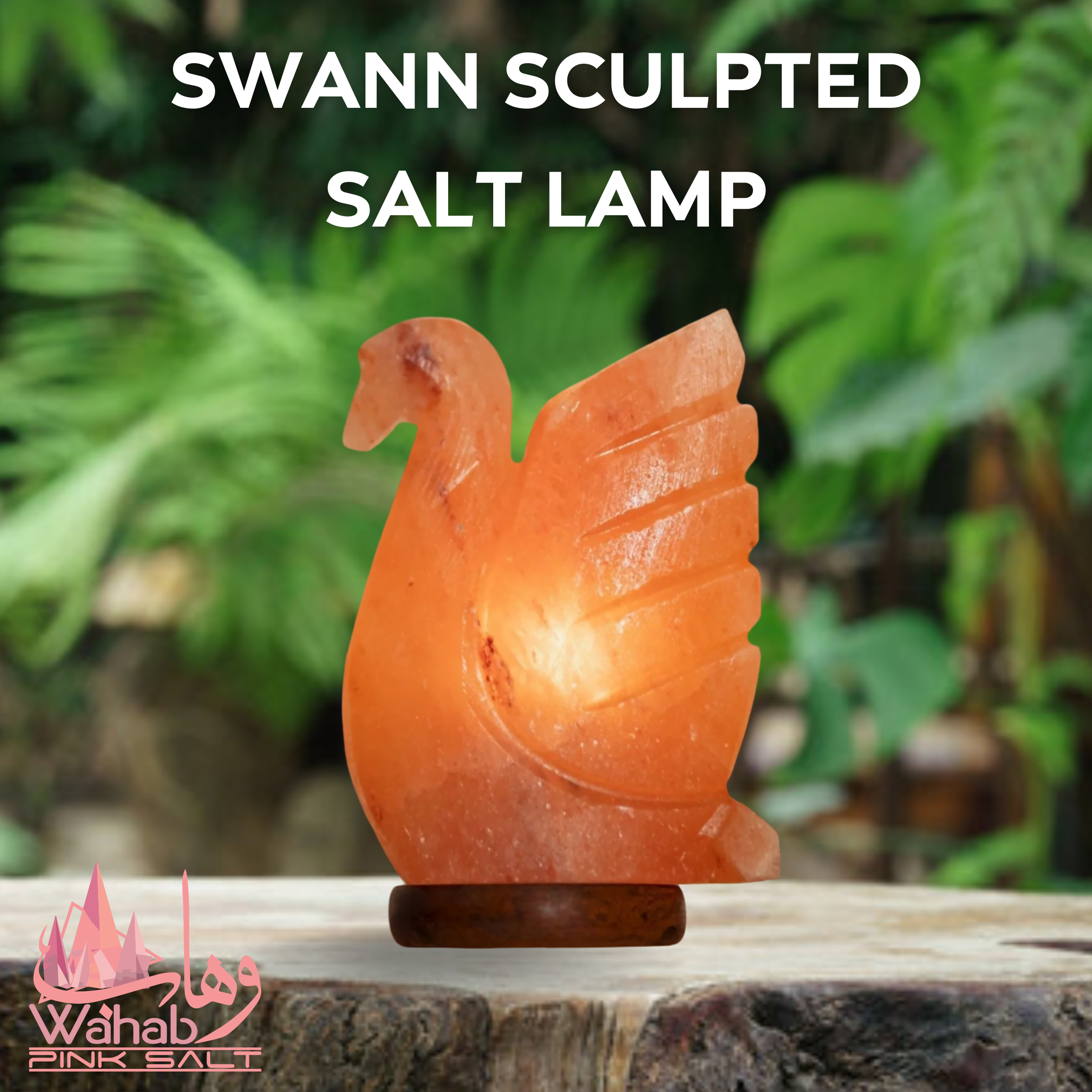 Sculpted Salt Lamp - Swann